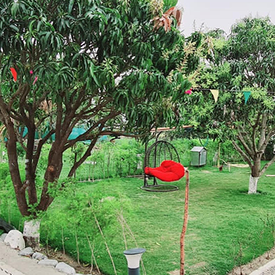 Dhikala Zone Safari In Jim Corbett