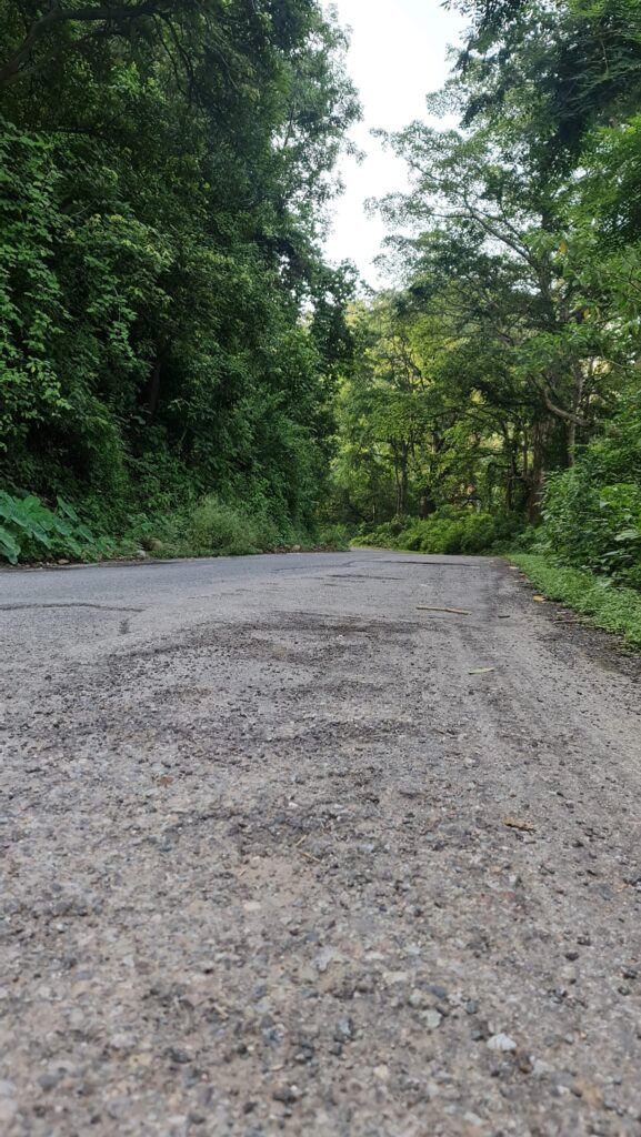 wilderness in corbett