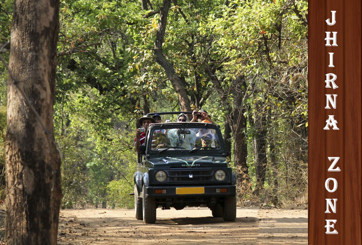  Jhirna Zone in Jim Corbett