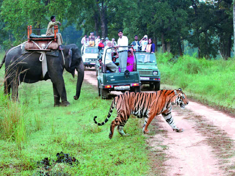 corbett tiger reserve