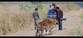 kaal movie scene safari in jim corbett