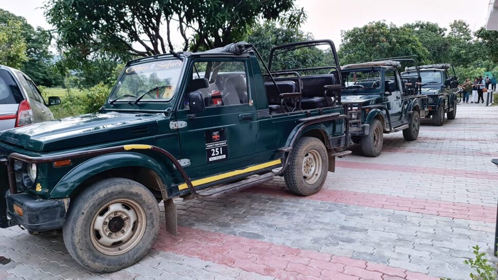 jungle safari on family outing to corbett