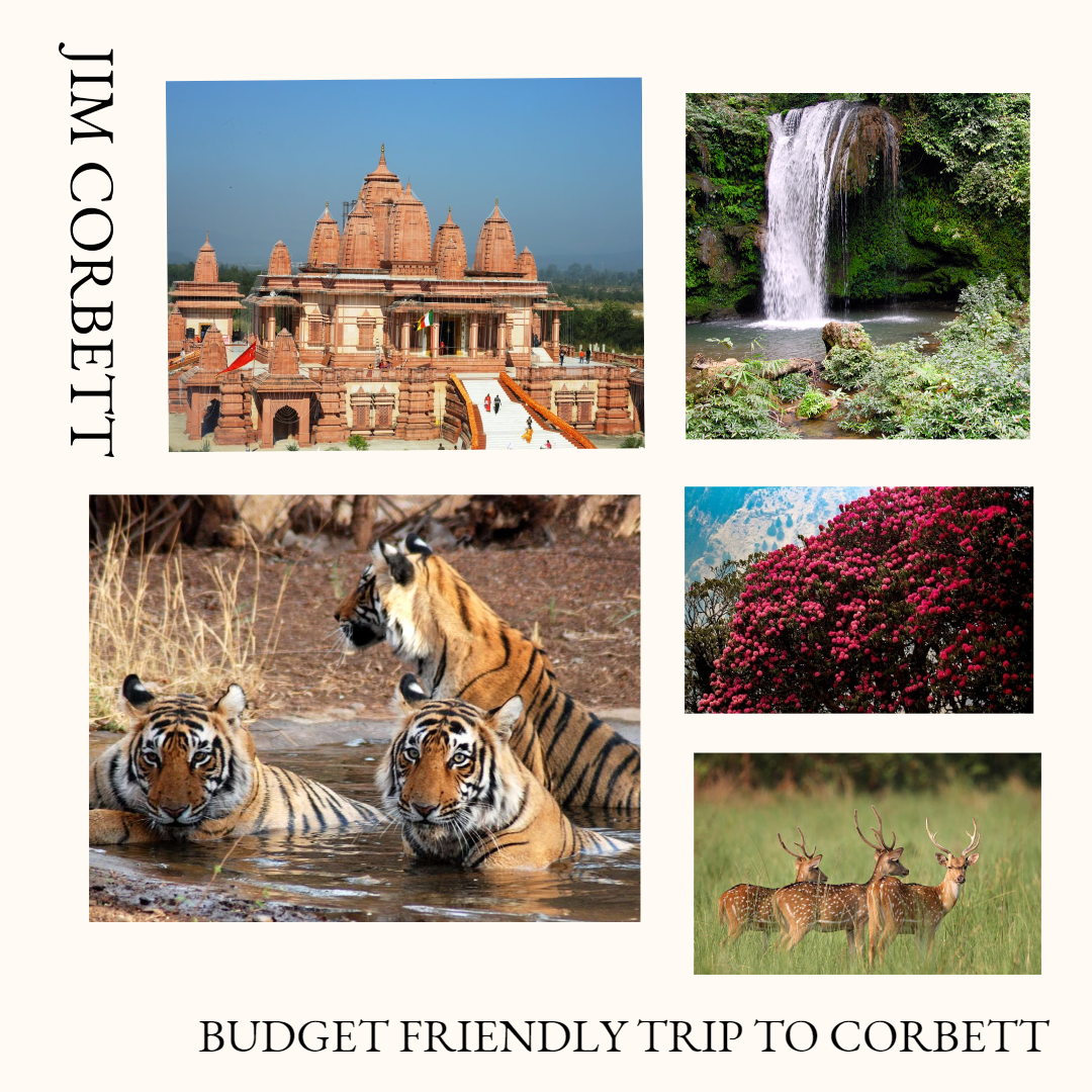 Trip to Jim Corbett Resort
