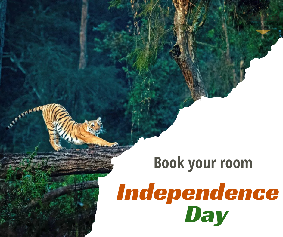 Independence Day in Jim Corbett