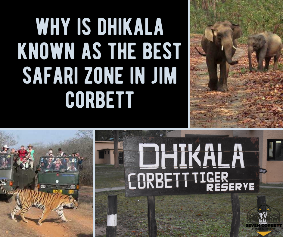 Dhikala Safari Zone