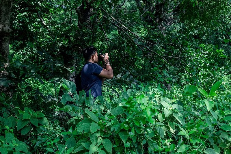 wildlife photography in the corbett jungle