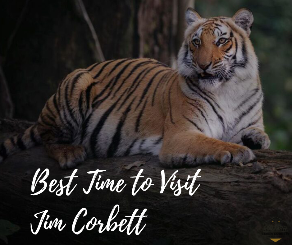 Best Time to Visit Jim Corbett