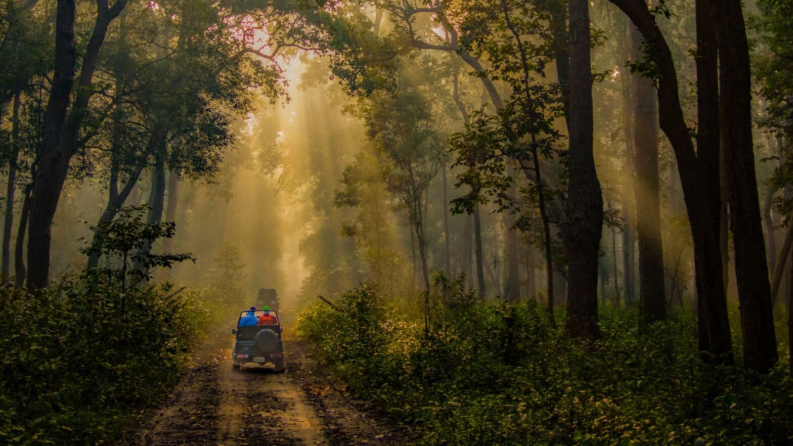 Jim Corbett Winter