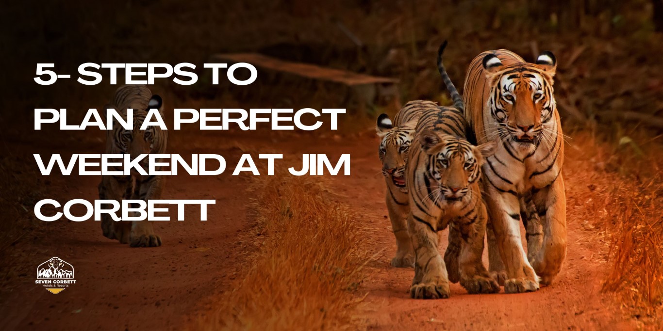 5- Steps to Plan a Perfect Weekend at Jim Corbett