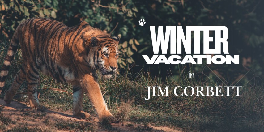 Winter Vacation Jim Corbett