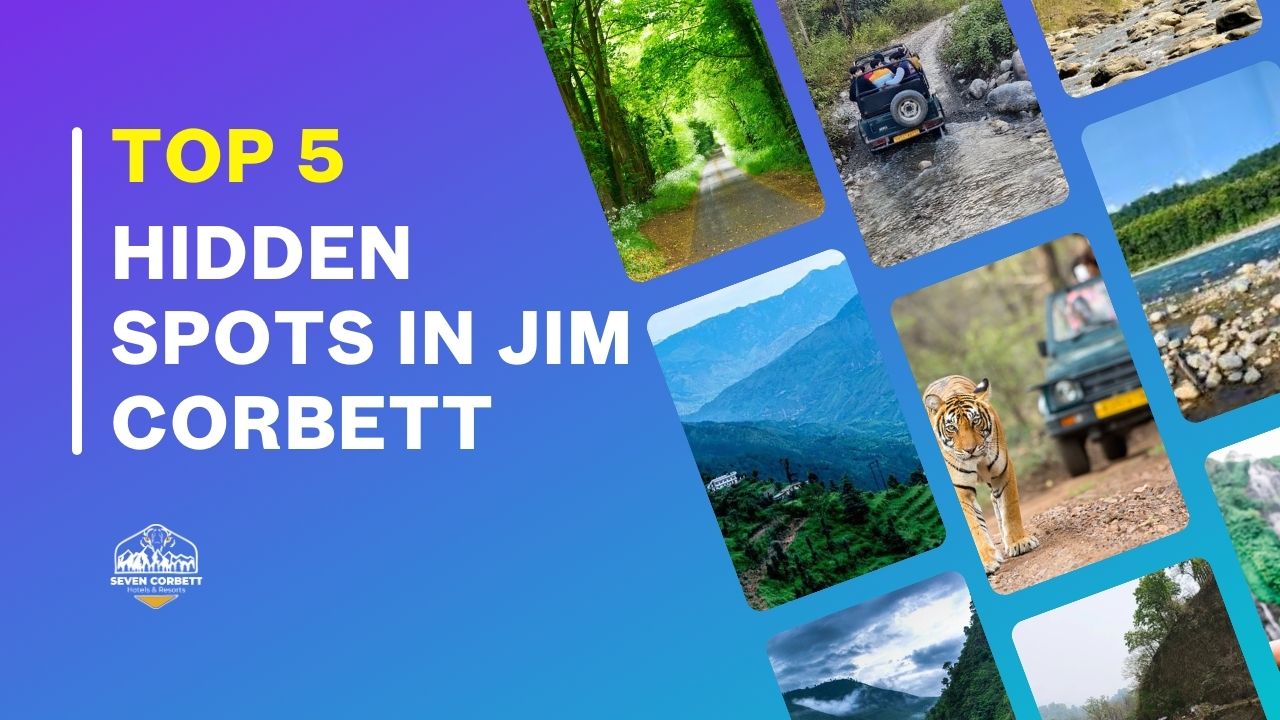 Top 5 Hidden Spots in Jim Corbett