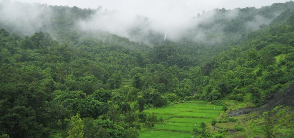 valley and forest landscape near Jim Corbett National Park with greenery